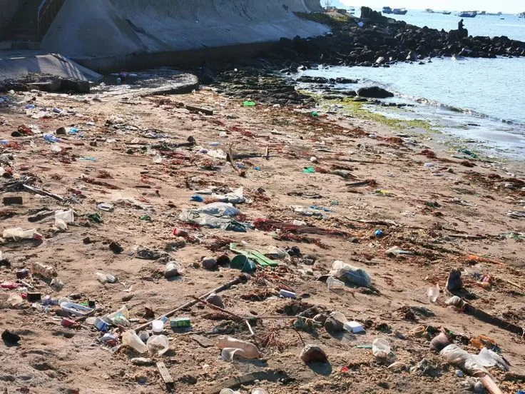 Upaya Hukum Saat Terjadi Sengketa Lingkungan Hidup di Indonesia